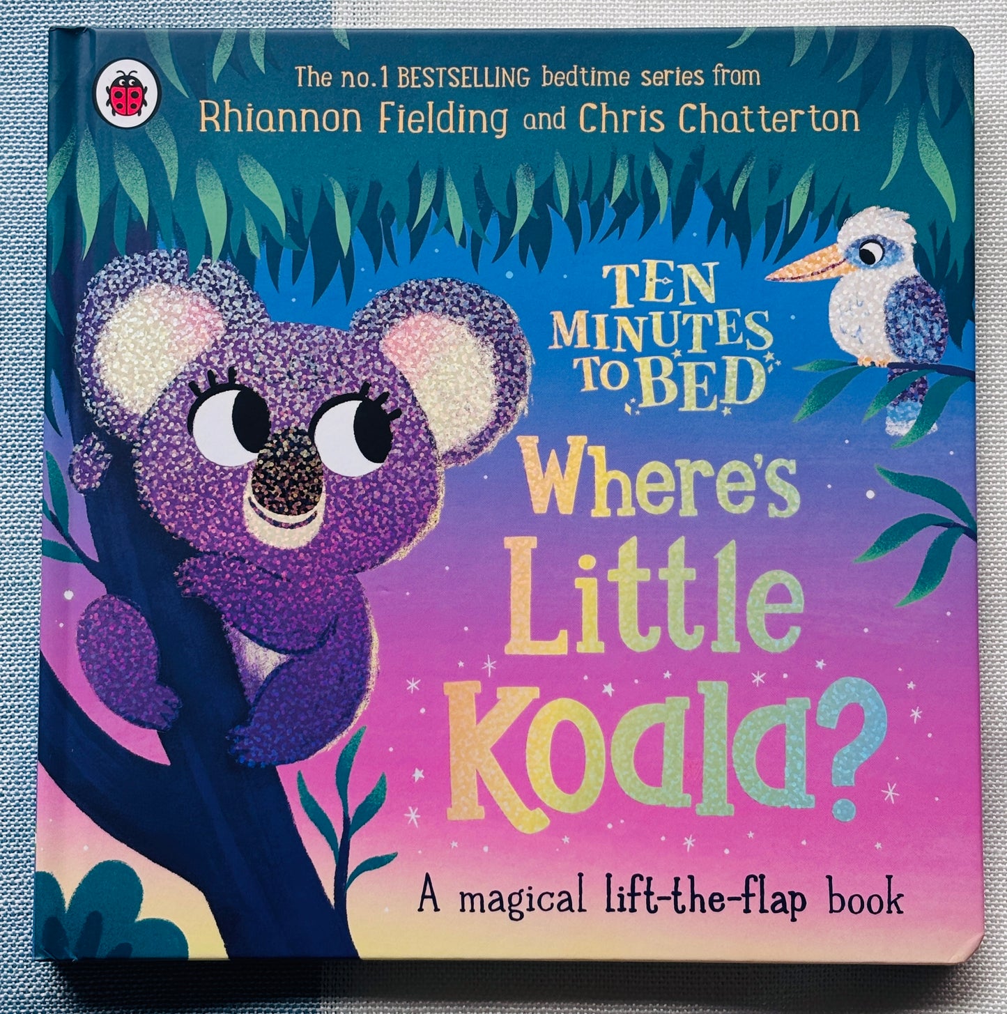 Where’s Little Koala?