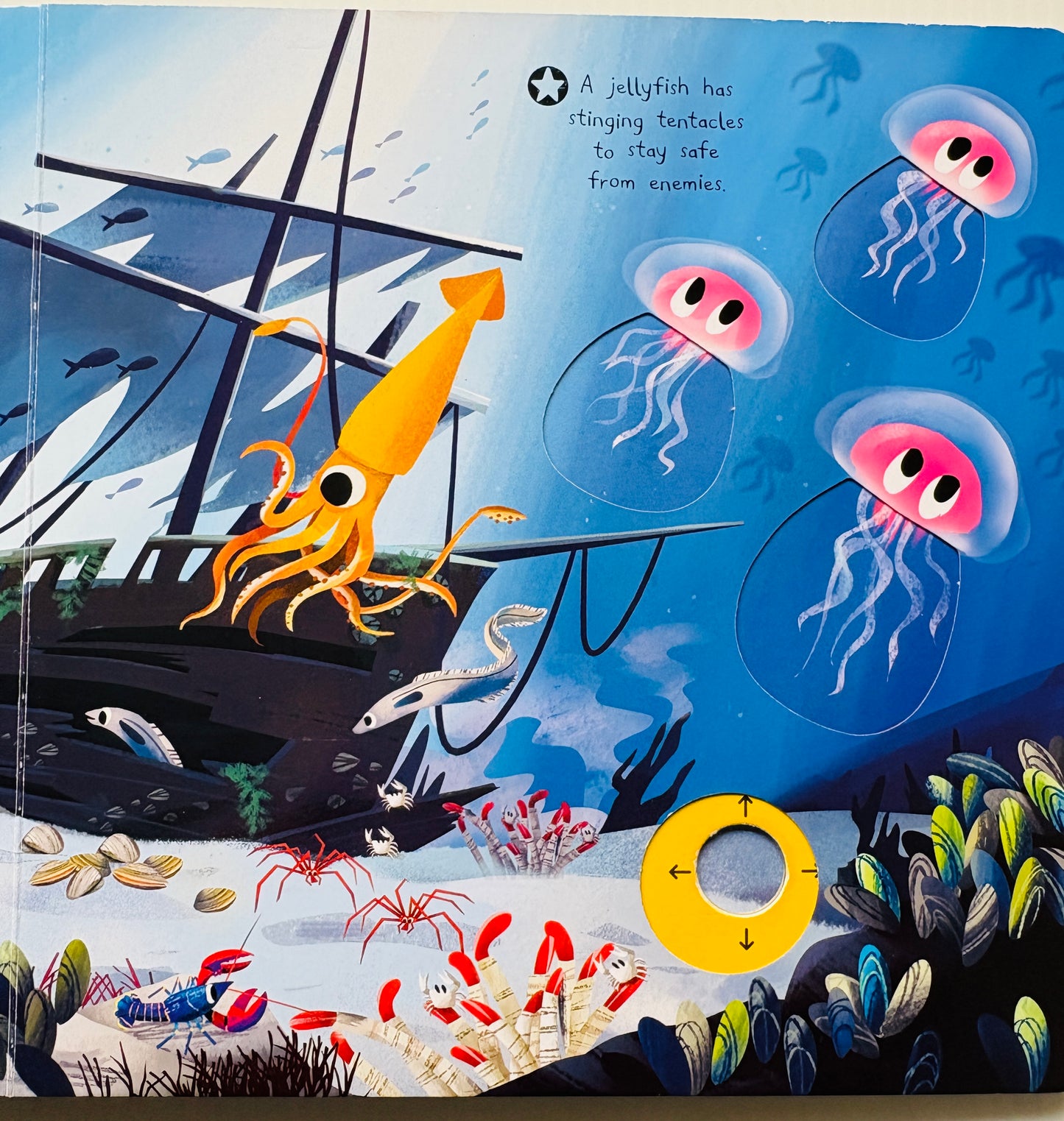First Explorers - Sea Creatures