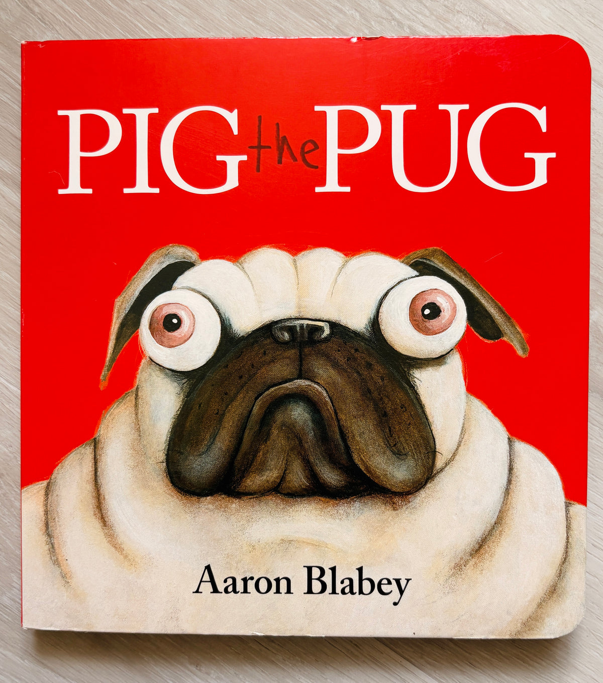 Pig the Pug