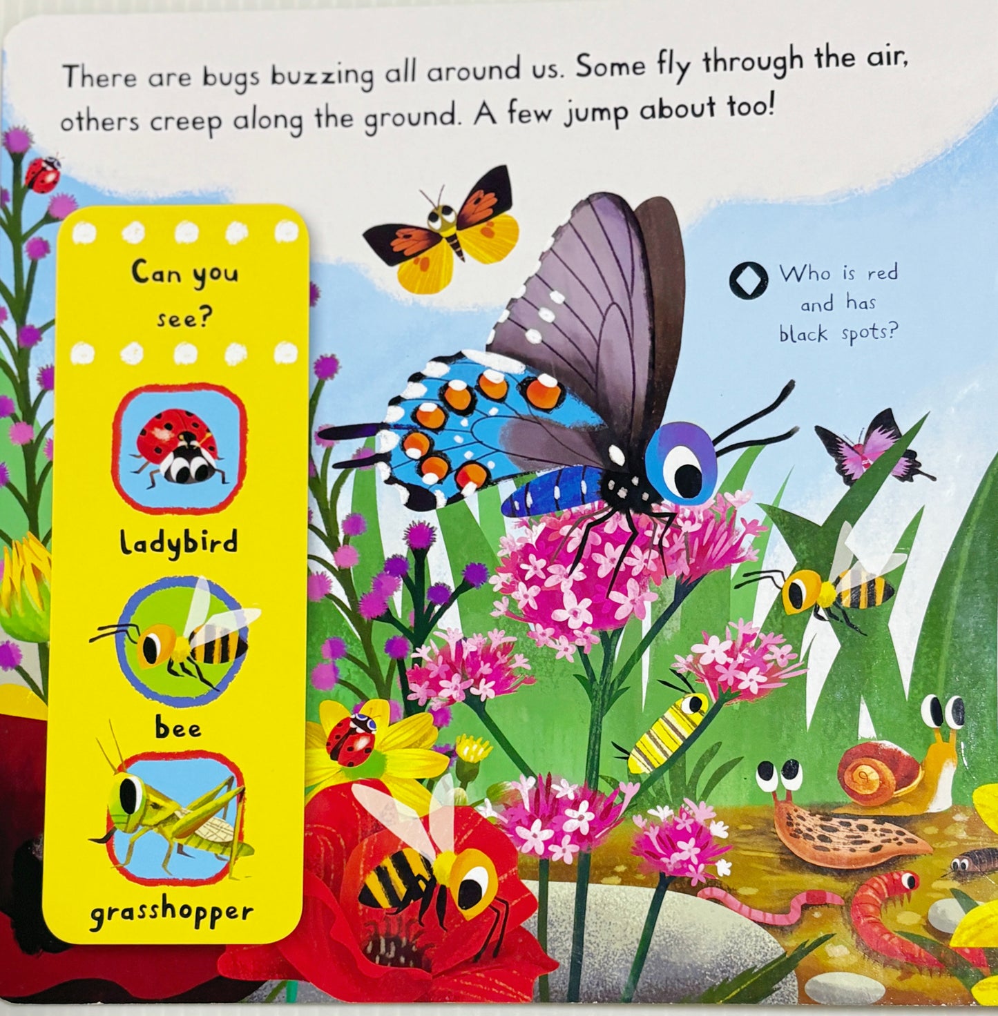 First Explorers - Brilliant Bugs